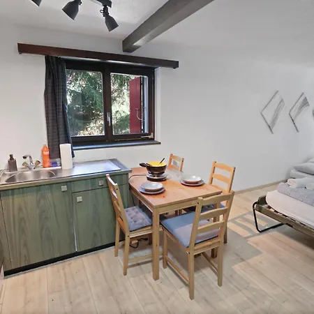 Renove A Cote Des Pistes 萨斯费